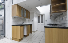 St Pancras kitchen extension leads